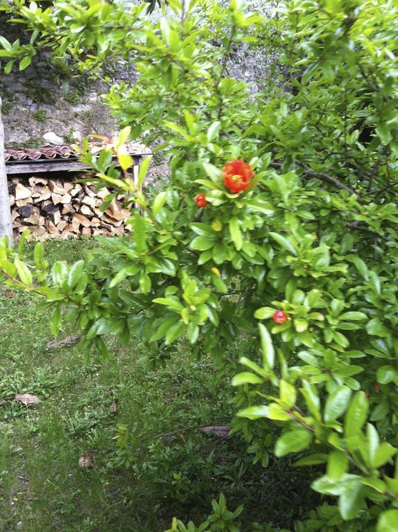 3 Rooms Apartment Whit Balcony And Lake Wiew Malcesine Ngoại thất bức ảnh